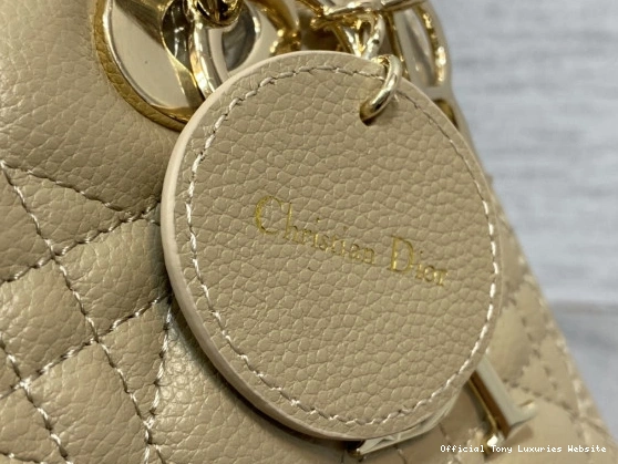 Tony Luxuries Gold Lady Calfskin-24cm diro large 0803